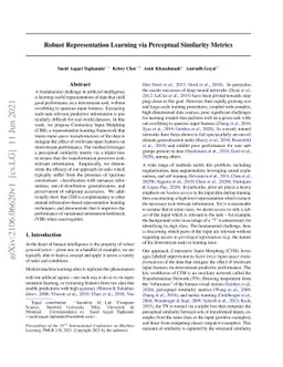 Robust Representation Learning via Perceptual Similarity Metrics