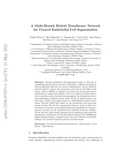 A Multi-Branch Hybrid Transformer Networkfor Corneal Endothelial Cell
  Segmentation