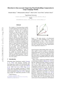 Direction is what you need: Improving Word Embedding Compression in
  Large Language Models