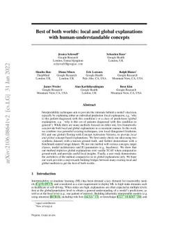 Best of both worlds: local and global explanations with
  human-understandable concepts