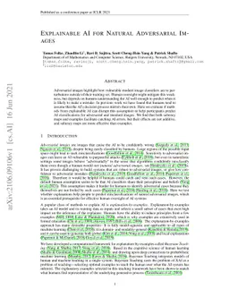 Explainable AI for Natural Adversarial Images