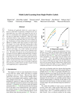 Multi-Label Learning from Single Positive Labels
