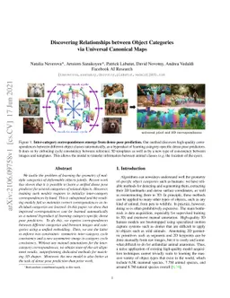 Discovering Relationships between Object Categories via Universal
  Canonical Maps