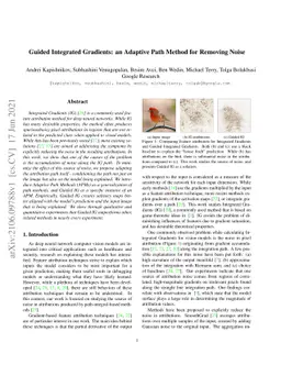 Guided Integrated Gradients: An Adaptive Path Method for Removing Noise