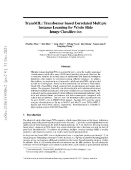 TransMIL: Transformer based Correlated Multiple Instance Learning for
  Whole Slide Image Classification