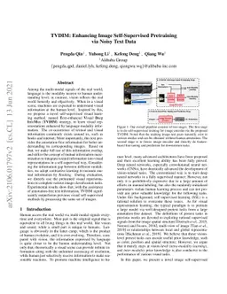 TVDIM: Enhancing Image Self-Supervised Pretraining via Noisy Text Data