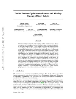 Double Descent Optimization Pattern and Aliasing: Caveats of Noisy
  Labels