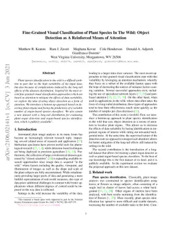 Fine-Grained Visual Classification of Plant Species In The Wild: Object
  Detection as A Reinforced Means of Attention