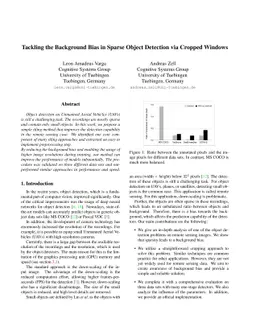 Tackling the Background Bias in Sparse Object Detection via Cropped
  Windows