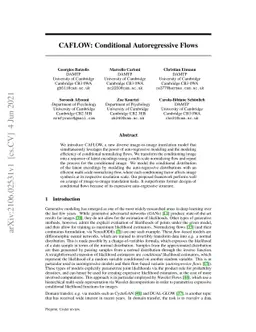 CAFLOW: Conditional Autoregressive Flows