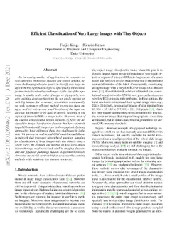 Efficient Classification of Very Large Images with Tiny Objects