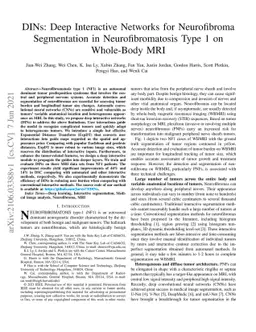 DINs: Deep Interactive Networks for Neurofibroma Segmentation in
  Neurofibromatosis Type 1 on Whole-Body MRI