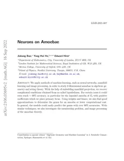 Neurons on Amoebae