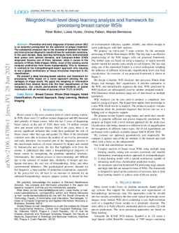 Weighted multi-level deep learning analysis and framework for processing
  breast cancer WSIs