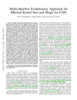 Multi-objective Evolutionary Approach for Efficient Kernel Size and
  Shape for CNN