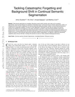 Tackling Catastrophic Forgetting and Background Shift in Continual
  Semantic Segmentation