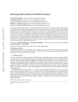 Detecting Cattle and Elk in the Wild from Space