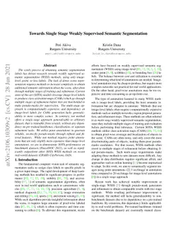 Towards Single Stage Weakly Supervised Semantic Segmentation