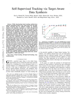 Self-Supervised Tracking via Target-Aware Data Synthesis