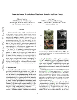 Image-to-Image Translation of Synthetic Samples for Rare Classes