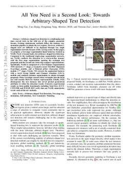 All You Need is a Second Look: Towards Arbitrary-Shaped Text Detection