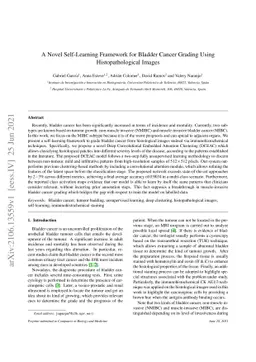 A Novel Self-Learning Framework for Bladder Cancer Grading Using
  Histopathological Images