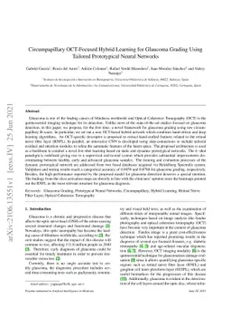 Circumpapillary OCT-Focused Hybrid Learning for Glaucoma Grading Using
  Tailored Prototypical Neural Networks