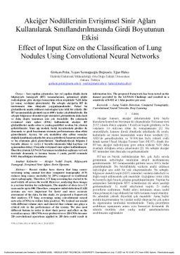 Effect of Input Size on the Classification of Lung Nodules Using
  Convolutional Neural Networks