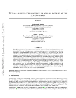 Optimal input representation in neural systems at the edge of chaos