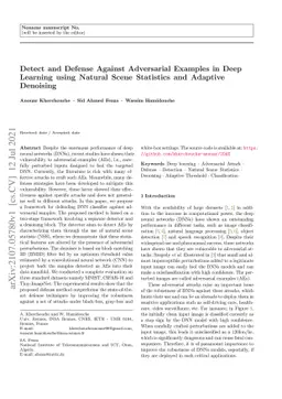 Detect and Defense Against Adversarial Examples in Deep Learning using
  Natural Scene Statistics and Adaptive Denoising