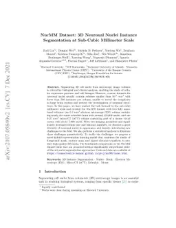 NucMM Dataset: 3D Neuronal Nuclei Instance Segmentation at Sub-Cubic
  Millimeter Scale