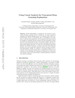 Using Causal Analysis for Conceptual Deep Learning Explanation