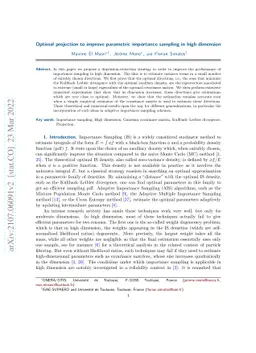 Optimal projection to improve parametric importance sampling in high
  dimension