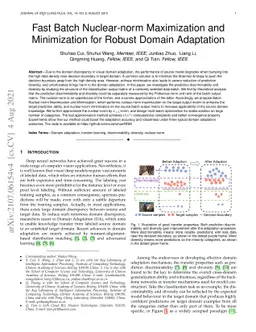 Fast Batch Nuclear-norm Maximization and Minimization for Robust Domain
  Adaptation