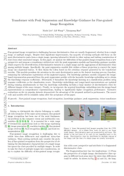 Transformer with Peak Suppression and Knowledge Guidance for
  Fine-grained Image Recognition