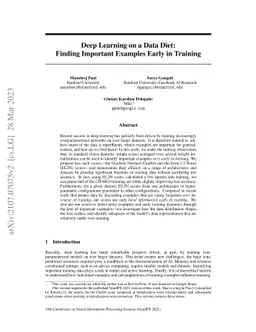 Deep Learning on a Data Diet: Finding Important Examples Early in
  Training