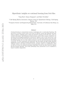 Algorithmic insights on continual learning from fruit flies