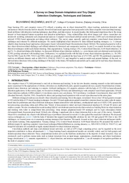 A Survey on Deep Domain Adaptation and Tiny Object Detection Challenges,
  Techniques and Datasets