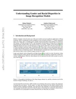 Understanding Gender and Racial Disparities in Image Recognition Models