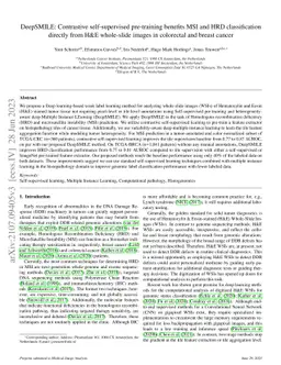 DeepSMILE: Contrastive self-supervised pre-training benefits MSI and HRD
  classification directly from H&E whole-slide images in colorectal and breast
  cancer