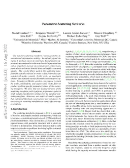 Parametric Scattering Networks