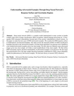 Understanding Adversarial Examples Through Deep Neural Network's
  Response Surface and Uncertainty Regions