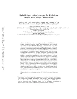 Hybrid Supervision Learning for Pathology Whole Slide Image
  Classification