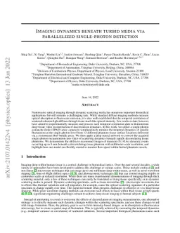 Imaging dynamics beneath turbid media via parallelized single-photon
  detection