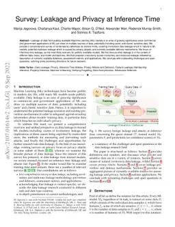 Survey: Leakage and Privacy at Inference Time
