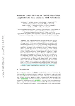Label-set Loss Functions for Partial Supervision: Application to Fetal
  Brain 3D MRI Parcellation