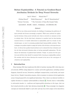 Robust Explainability: A Tutorial on Gradient-Based Attribution Methods
  for Deep Neural Networks
