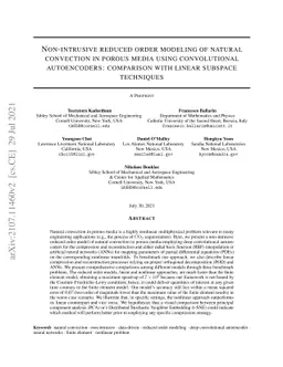 Non-intrusive reduced order modeling of natural convection in porous
  media using convolutional autoencoders: comparison with linear subspace
  techniques