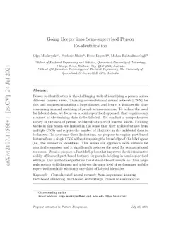 Going Deeper into Semi-supervised Person Re-identification