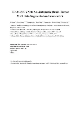 3D AGSE-VNet: An Automatic Brain Tumor MRI Data Segmentation Framework